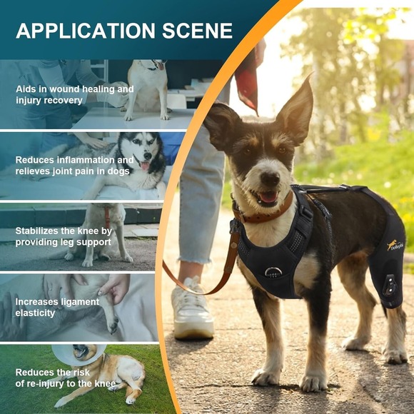 Dog Knee Brace‎ XL Left Leg w/ Hinge ACL CCL Support Recovery - Picture 10 of 13